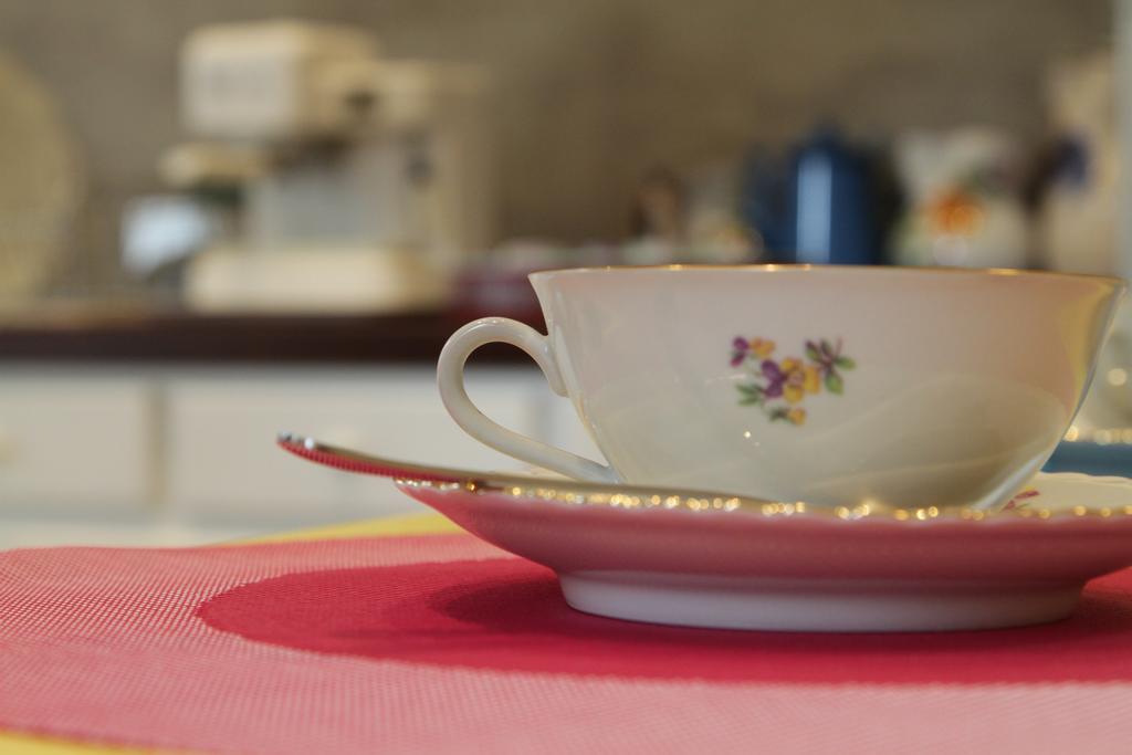 B&B I Propilei Di San Girolamo 리미니 외부 사진